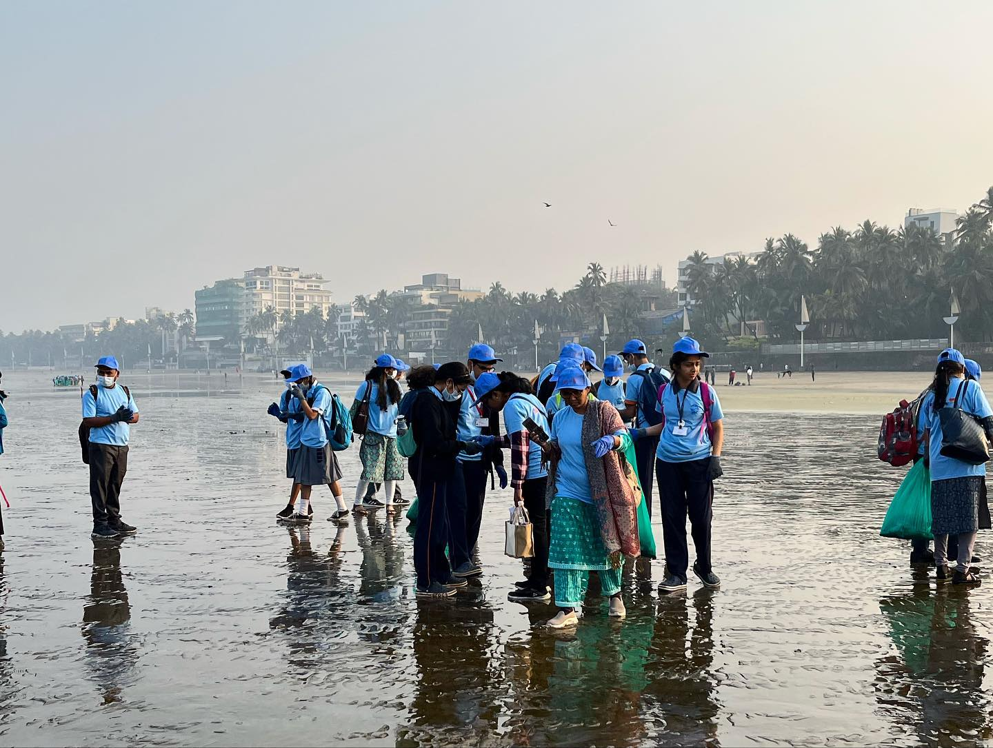 Exploring Marine Life at Juhu Koliwada