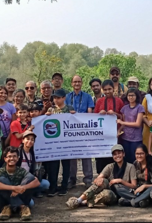 Birdwatching in Mumbai: A Morning at Bhandup Pumping Station