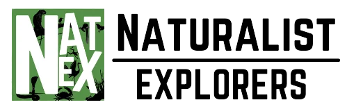 Naturalist Explorers logo