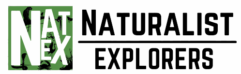 NatEx Logo
