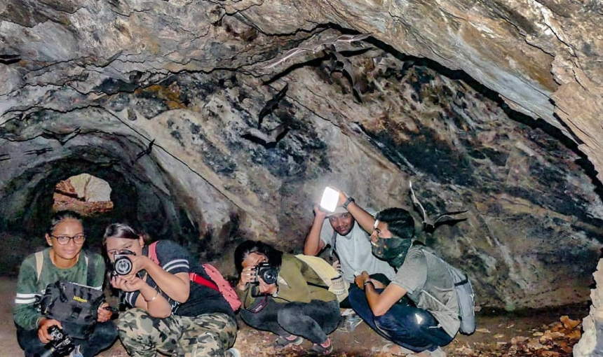 Wings and Wonder – Bat Watching at Jambulmarg, Gujarat