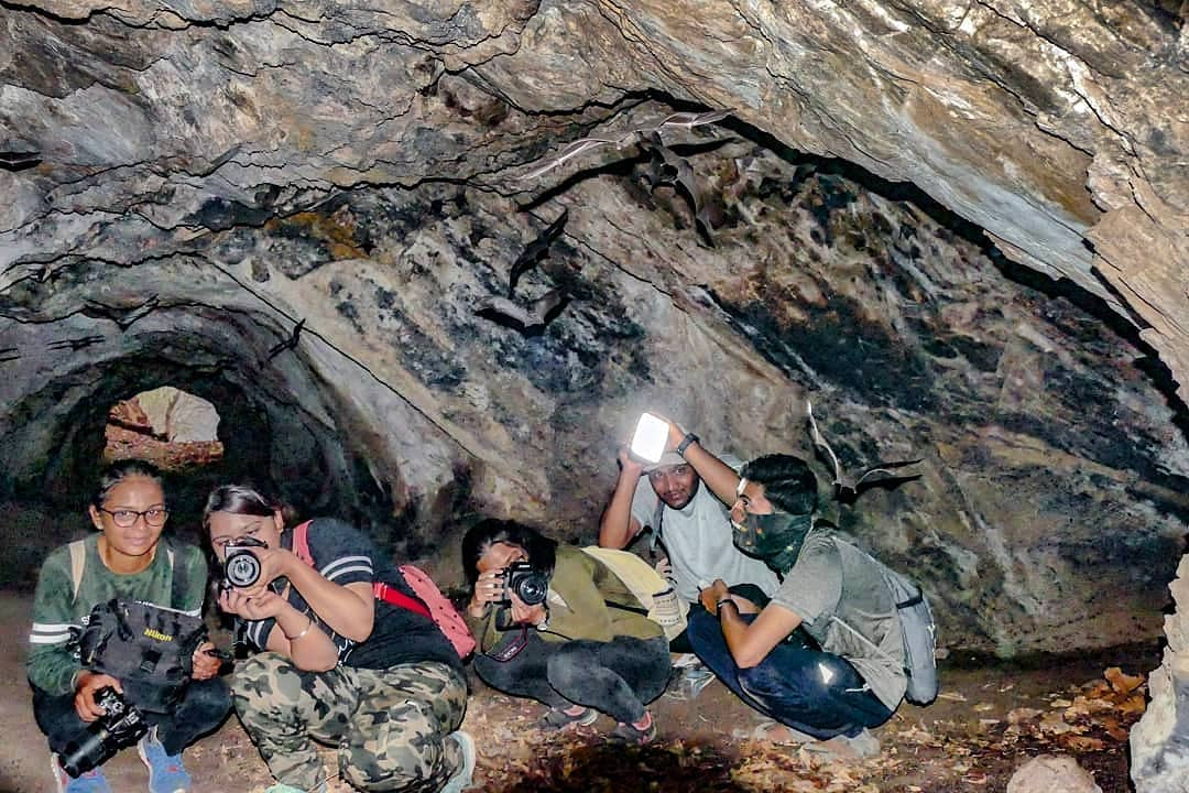 Explorers at a bat Watching excursion at Jambulmarg
