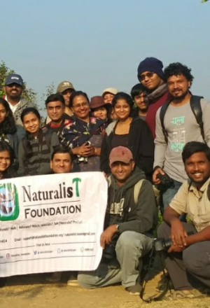 Birdwatching in Navi Mumbai: An Unforgettable Morning at NRI Colony