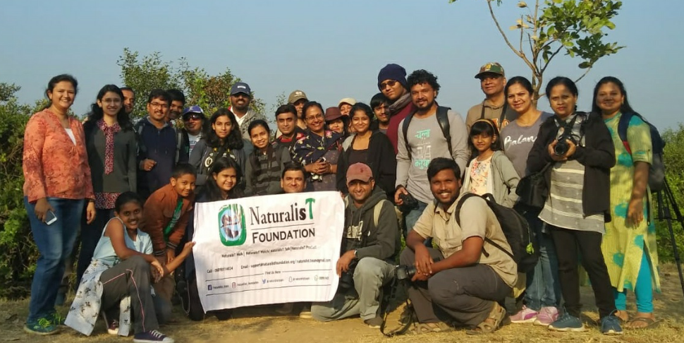 Birdwatching in Navi Mumbai at NRI Colony