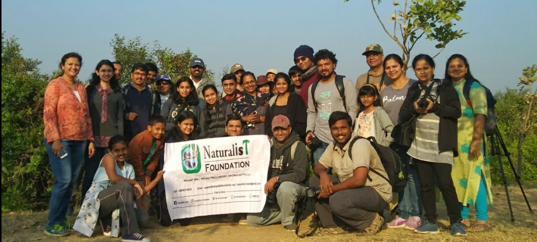 Birdwatching in Navi Mumbai at NRI Colony