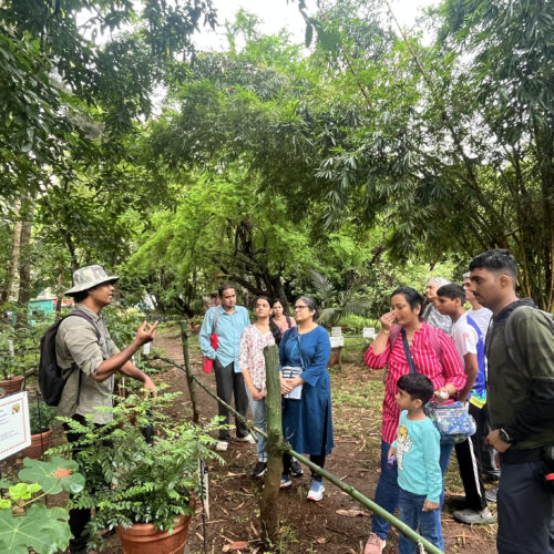 People being educated by the guide on a trail at the Maharashtra Nature Park