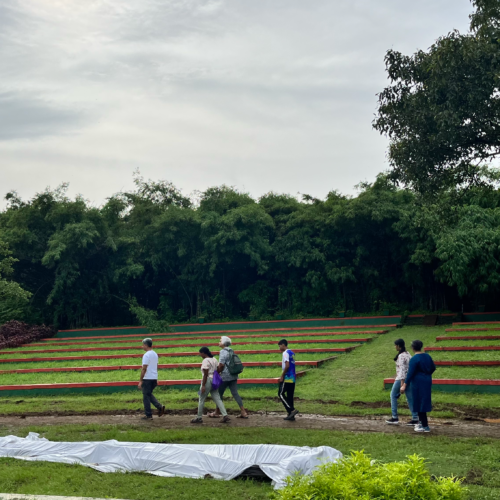 People walking across a path at the Maharashtra Nature park