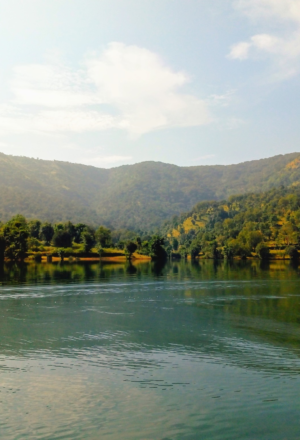 Into the Wild: A Two-Day Escape to Koyna Wildlife Sanctuary