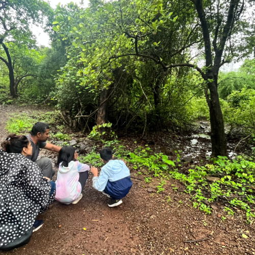 Kids and explores crouching to examine the forest.