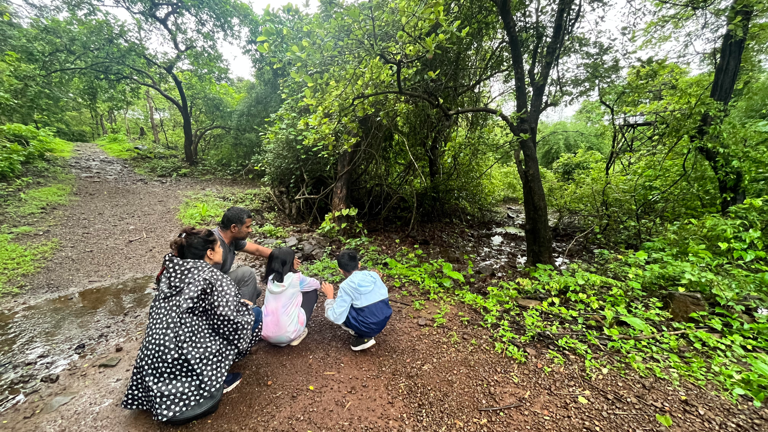 Kids and explores crouching to examine the forest.