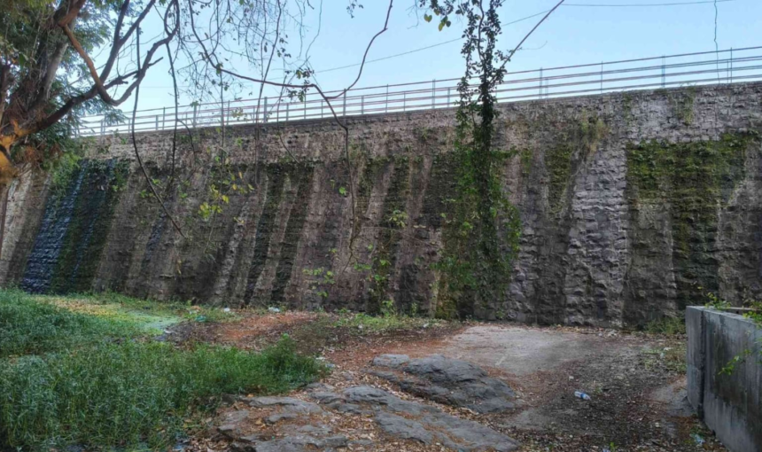 Green City Trails: A Nature Walk at Deer Park, Mumbai