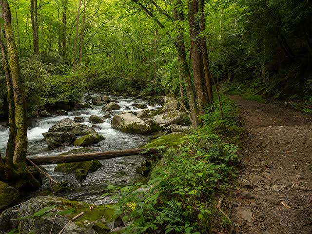 nature trail