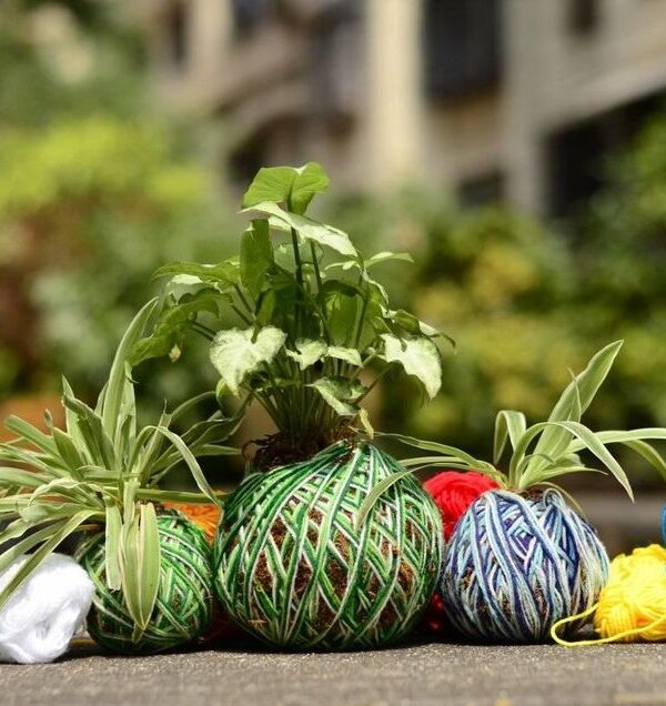 kokedama